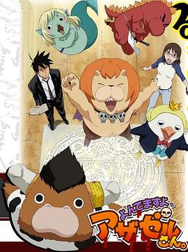 普定县分类网站优化建设